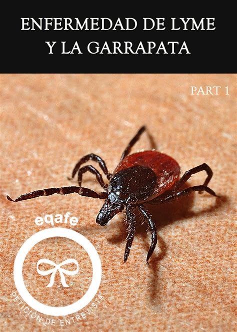 Ela Enfermedad In English - Signos y síntomas de advertencia de ...