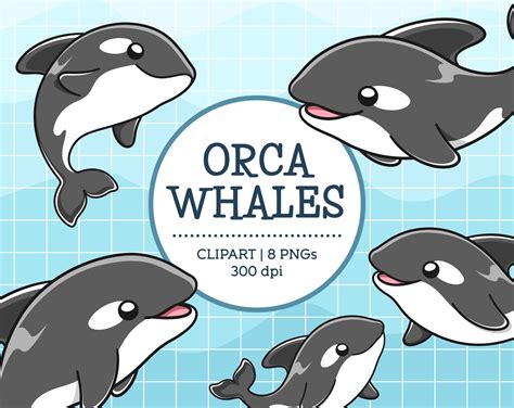 Orca Clipart, Orca Whale Clipart, Killer Whales Clip Art, Marine Animal ...