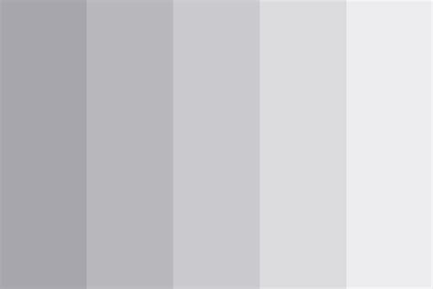 Silver Color Partner 的图像结果