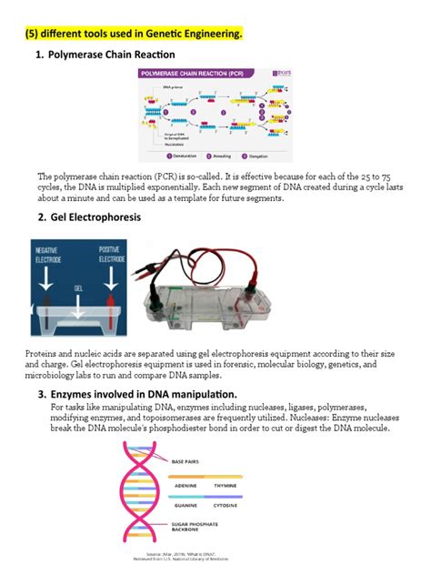 Genetic Engineering Machine 的图像结果