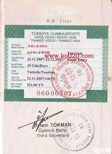 土耳其签证办理流程(土耳其电子签证，办理流程非常简单！自己就能操作申请) | 说明书网