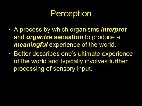 Image result for Understanding Perceptions