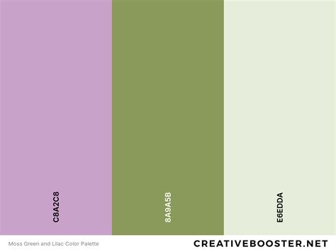 25+ Best Colors That Go With Lilac (Color Palettes) – CreativeBooster