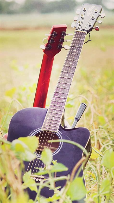 Download Musical Instrument Guitar Grassy Field | Wallpapers.com