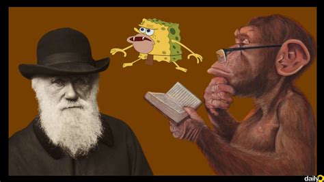 Ape fossils discovered in Turkey may just prove Charles Darwin wrong