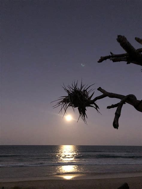 HORIZONS AT PEREGIAN BEACHSIDE RESORT (Peregian Beach) - Apartment ...