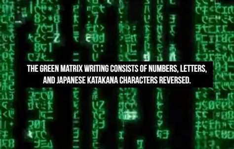 Image result for The Matrix Rabbithole