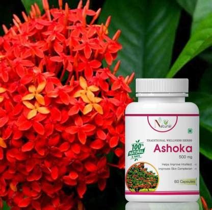 Numinous Ashoka Ayurvedic capsules for beneficial in diabetes Price in ...