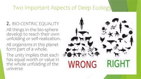 Deep ecology.pptx