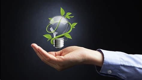 Image result for Environment Project Development