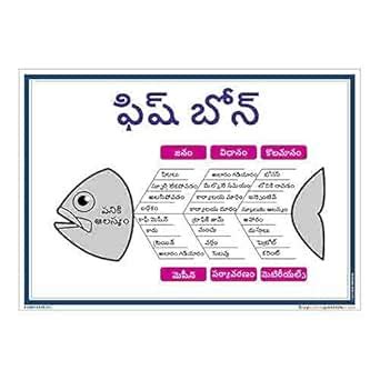 buysafetyposters.com - Fish Bone Poster in Telugu Eco Vinyl Sticker (A2 ...