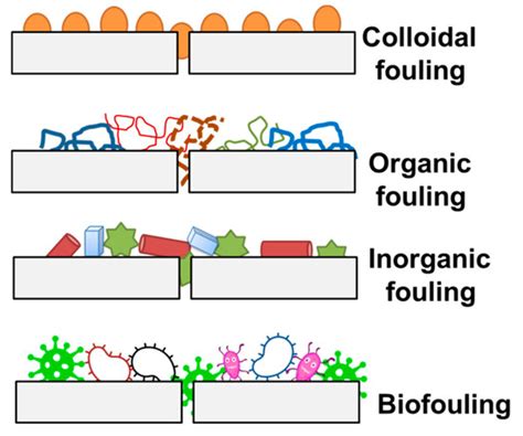 Fouling and Chemical Cleaning of Microfiltration Membranes: A Mini-Review