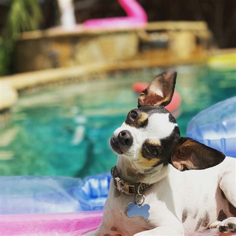 MISSOURI VALLEY VET - PINEHURST - Bismarck ND - Hours, Directions ...