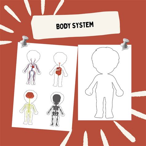 Learn Body System Activity Worksheet (Digital Download)