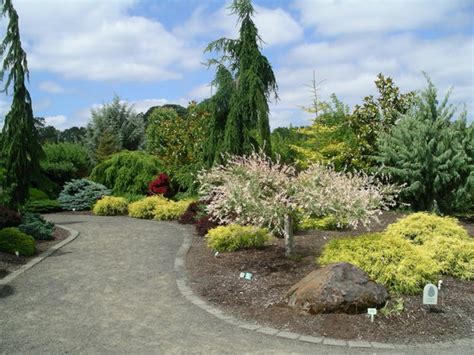 The Oregon Garden (Silverton) - 2020 What to Know Before You Go (with ...