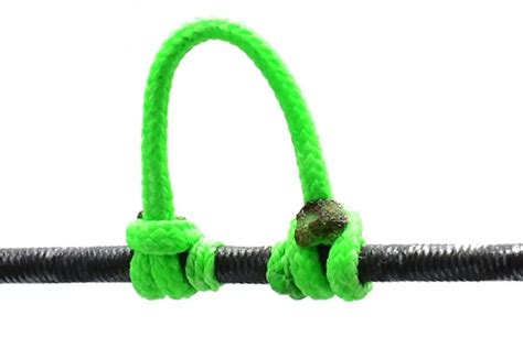 Bow String D-loop 的图像结果