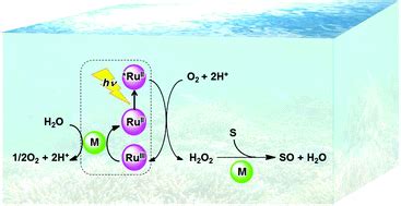 Kuvatulokset haulle photocatalytic oxidation