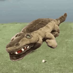Image result for Crocodile Exploding