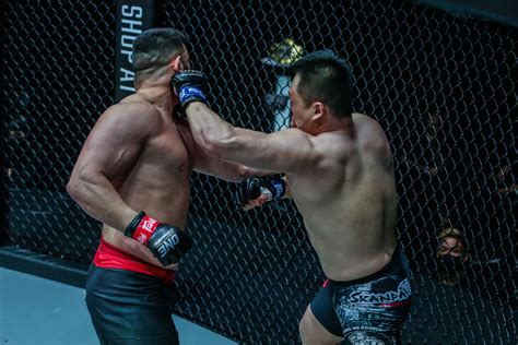 MMA Heavyweight 的图像结果