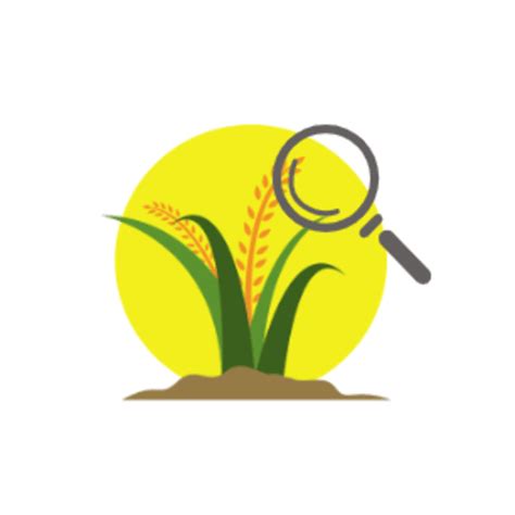 Rice Disease Identifier – Apps on Google Play