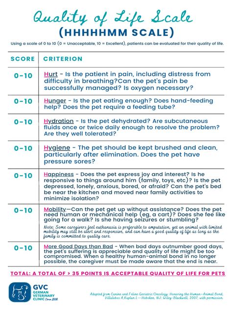 Quality of Life Scale (HHHHHMM Scale) - 2 | PDF