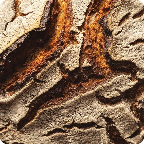 Panem et circenses | Orizzonte