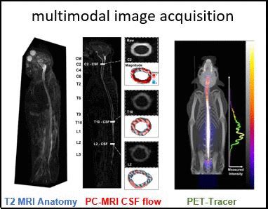 Image result for Intrathecal Injection Mouse