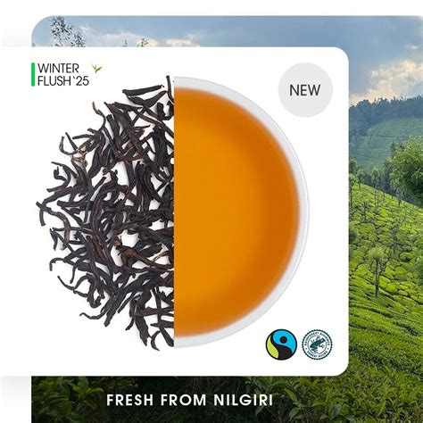 Buy 2025 Nilgiri Korakundah Winter Frost Black Tea Online | Teabox