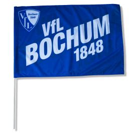 Drapeau France sur hampe à bas prix - maison-des-drapeaux.com