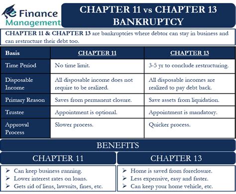 Explaining Chapter 11 Bankruptcy 的图像结果