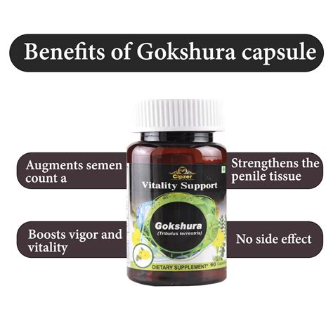Buy CIPZER GOKSHURA CAPSULE |MAY STRENGTHEN THE PENILE TISSUE & SEMEN ...