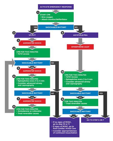 ACLS Algorithms 2020 的图像结果