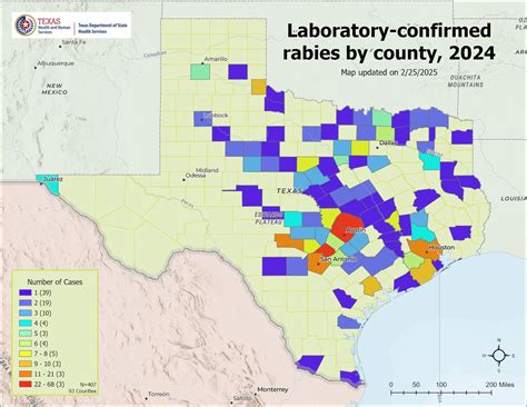 Tracking The Last Known Rabies Case In The Us: A 2026 Update