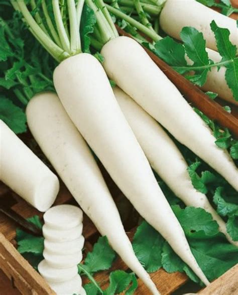 Radish Country – SK Organic Farms