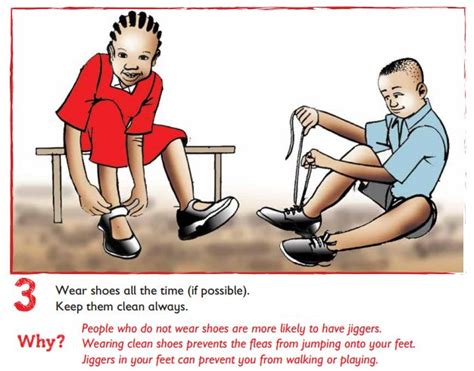 Image result for Jigger Bug Parasite