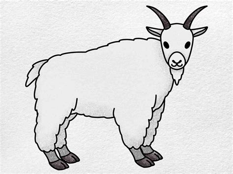 How To Draw A Goat Step By Step