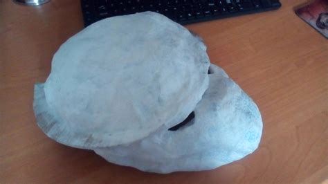 Image result for Predator Custom BioMask