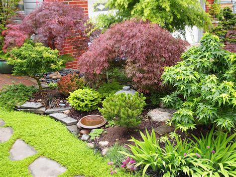 Garden design by Garden PhD. Japanese maples, conifers, four season ...