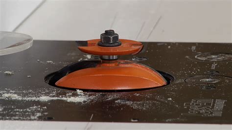 Image result for How to Set Up Raised Panel Bit with Back Cutter