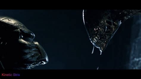 Image result for Alien vs Predator Fight