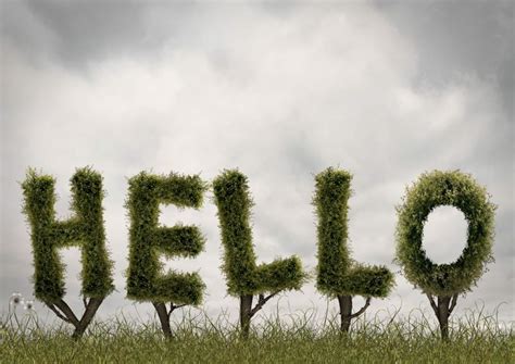 Hello Tech Support 的图像结果