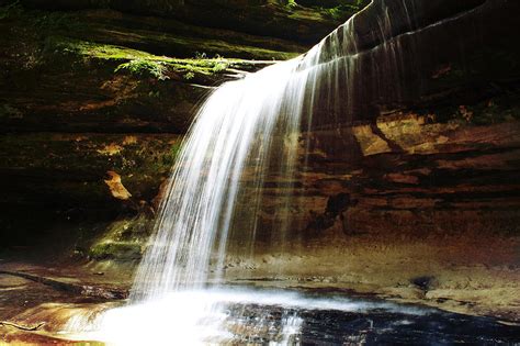 Patterns of Motion in Nature 的图像结果