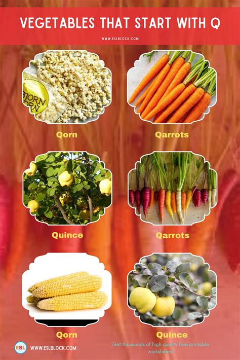Fruit And Veg That Start With Q at Brenda Rasheed blog
