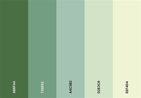 Image result for Google Calendar Color Schemes