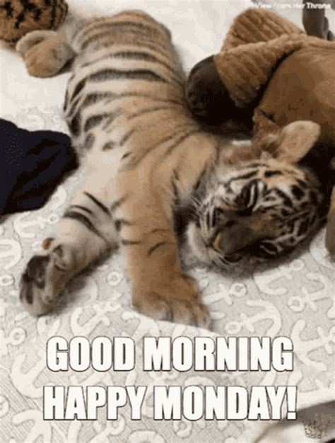 Happy monday animal gifs | happy monday animal images | XAKY