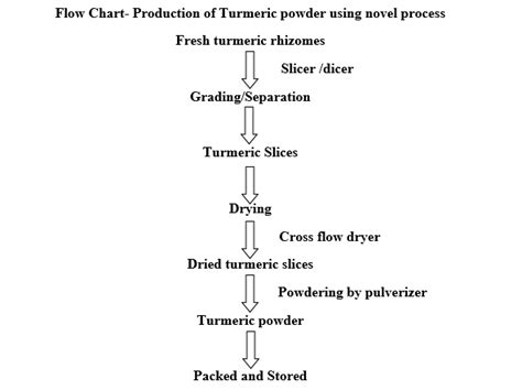 Research & Innovation in Turmeric Processing - CSIR-CFTRI Novel ...
