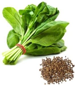 VibeX ® XXL-485 Rich Palak Or Indian Spinach Seed Price in India - Buy ...