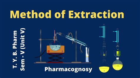 Process of Extraction 的图像结果