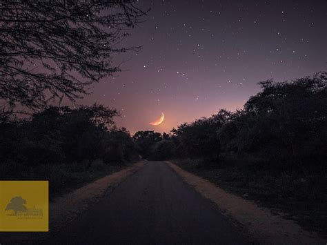 RANAKPUR ADVENTURES (2025) All You Need to Know BEFORE You Go (with ...