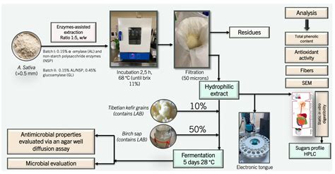 The Biochemical Alteration of Enzymatically Hydrolysed and ...